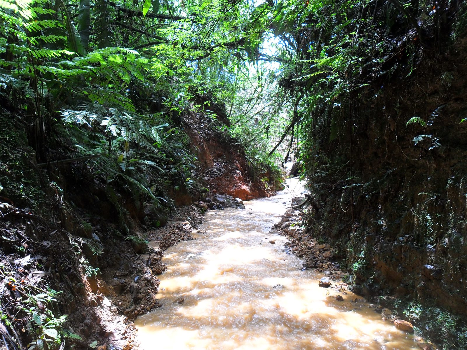 Quebrada crecida y con alta carga de sedimentos después de fuertes lluvias