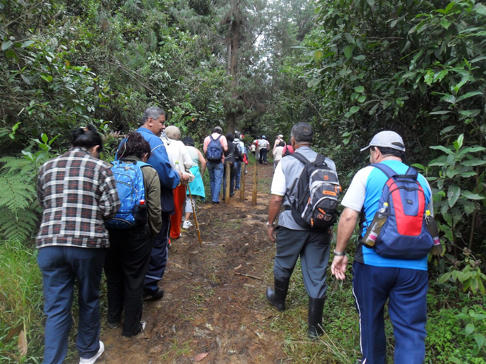 Comunidad de La Rápida recorriendo el bosque para conocer el nacimiento del agua